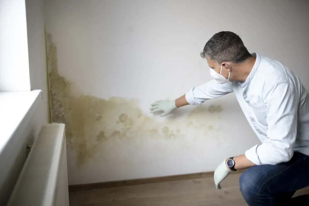 Comment réparer et entretenir les surfaces en plâtre dans votre maison ?